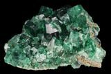 Fluorite Crystal Cluster - Rogerley Mine #134789-1